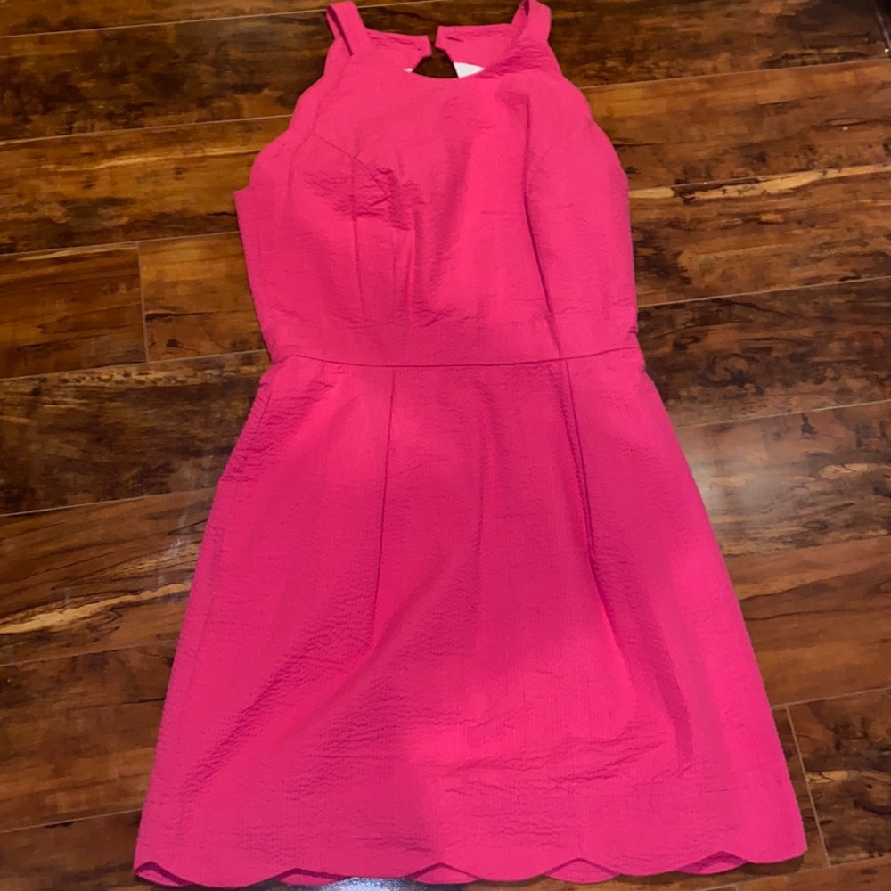 Lauren James Pink Seersucker Dress | Small